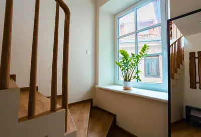 a staircase with a window and a plant in a vase at St Michael's terrace in Vilnius