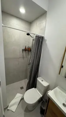 a bathroom with a shower and a toilet and a sink at Cosy Sopenas home in Vilnius