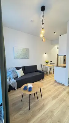 a living room with a couch and a table at Cosy Sopenas home in Vilnius