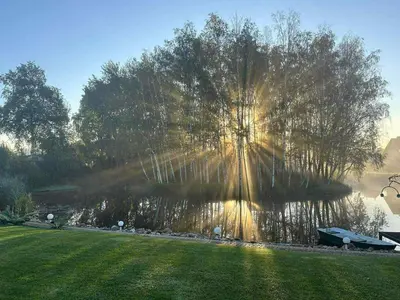 a large tree next to a body of water at Guest house 10 minutes from the city center in VNO