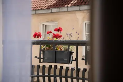 a balcony with red flowers in a window at Stylish & Brand New 1 BDR Apartment in Old Town in Vilnius