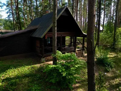 a log cabin in the middle of a forest at Vila Zara in Zarasai