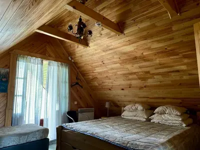 a bedroom with wooden walls and a bed in a room at Vila Zara in Zarasai
