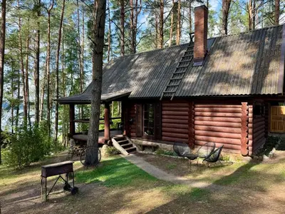 a log cabin in the middle of a forest at Vila Zara in Zarasai