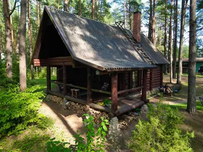 a small cabin with a tin roof in the woods at Vila Zara in Zarasai