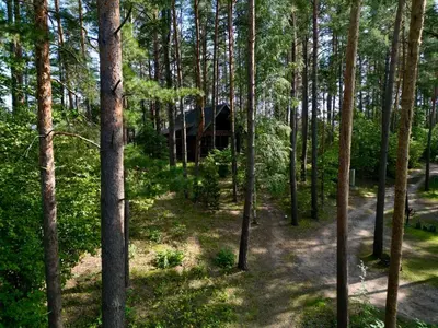 a wooden cabin in the middle of a forest at Vila Zara in Zarasai