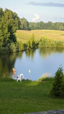a dog sitting on a table in front of a lake at Vila Vynuogyne in Paberžė