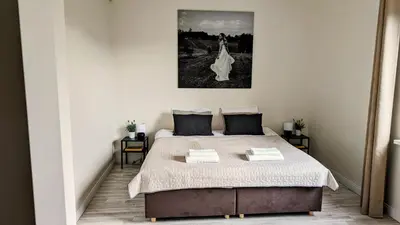 a bedroom with a bed and a picture on the wall at Vila Vynuogyne in Paberžė