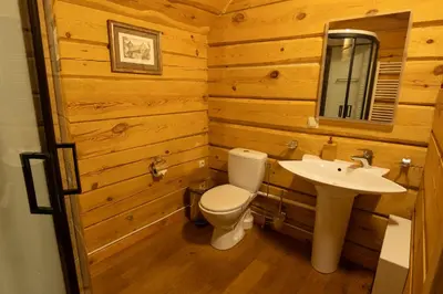 a bathroom with a toilet and a sink at Močiutės sodyba in Latežeris