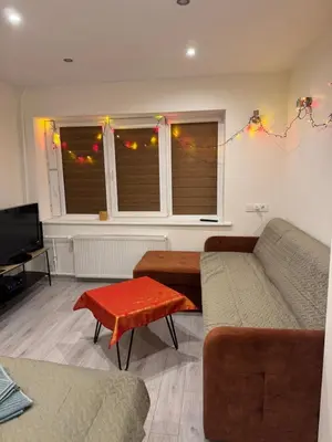 a living room with a couch and a television at Kasia apartaments in Druskininkai