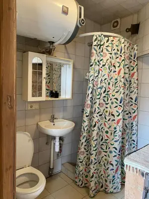 a bathroom with a toilet and a sink at Gudyno in Kaunas