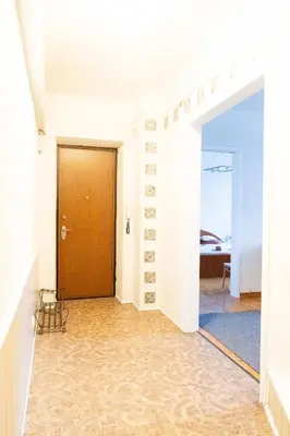 a hallway with white walls and a brown door at Vilnius Old Town Riverside Apartment in Vilnius