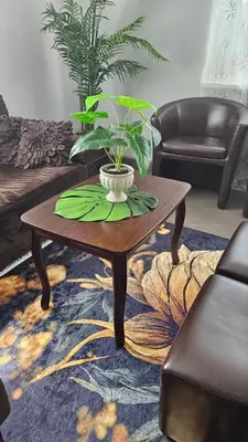 a coffee table in a living room with a plant on it at Dviejų kambarių butas Kauno centre in Kaunas