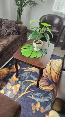 a living room with a table with a plant on it at Dviejų kambarių butas Kauno centre in Kaunas