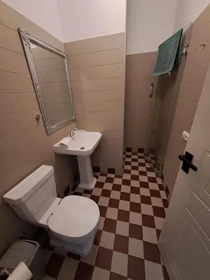 a bathroom with a toilet and a sink at Vyduno apartamentai 11 in Kaunas