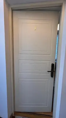 a white garage door with a gold latch at Historic Embassy Apartments 1 in Kaunas