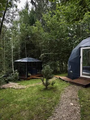 a blue tent in the middle of a forest at Tyla dviese in Kaciūniškiai