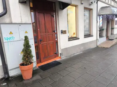 a plant in a pot in front of a door at OLD TOWN MARKET STAY , Self Check-in in Vilnius