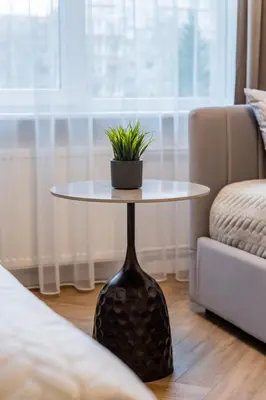 a table with a plant on it in a living room at ENZO Apartments in Šiauliai