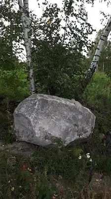 a large rock sitting in the grass next to trees at namelis tyloje in Šarkiškės