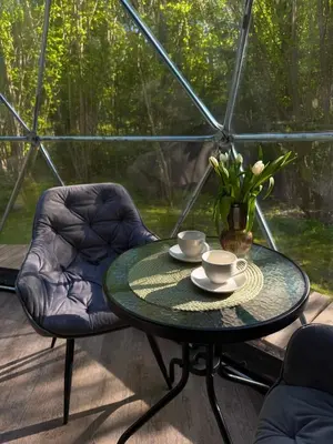 a table and a chair with a vase of flowers on it at Tyla Dviese in Bendoriai