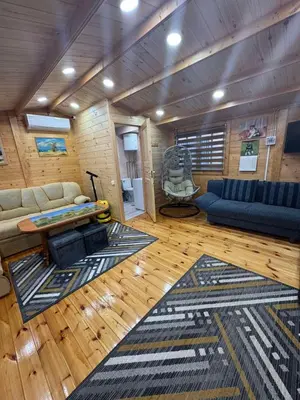 a living room with a blue couch and a rug at Pasakų namelis in Svėdasai