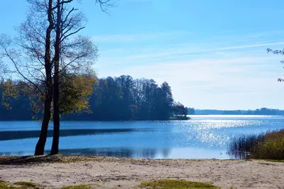 a view of a lake with two trees on the shore at Žuvienės Pašiūrė in Rubikiai