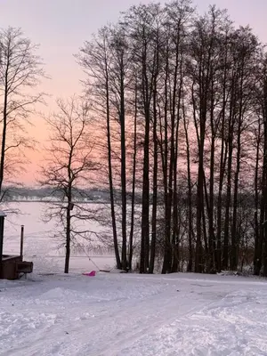 a group of trees in the snow next to a lake at Jack namai 2 in Puodžiai