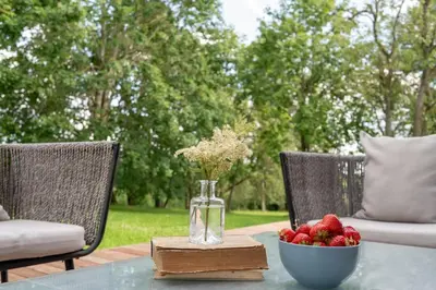 a table with a bowl of strawberries and a vase of flowers at Panekelpių vienkiemis in Aguriškės
