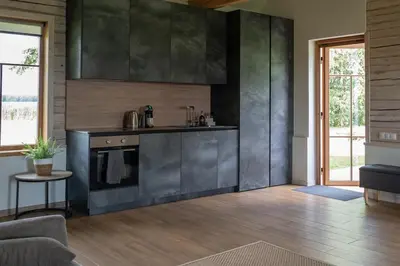 a living room with a kitchen with stainless steel appliances at Panekelpių vienkiemis in Aguriškės