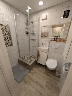 a bathroom with a shower and a toilet at Jaukūs apartamentai prie Šiaulių arenos in Šiauliai