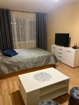 a bedroom with a bed and a dresser with a television at Šiaurės Butas in Kaunas