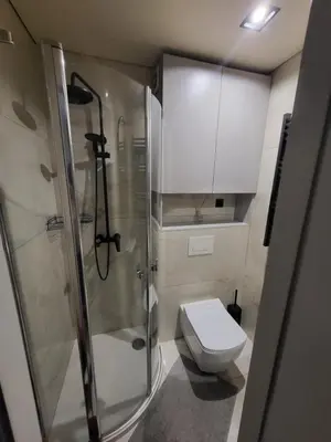 a bathroom with a shower and a toilet at Ekonomiskas in Vilnius