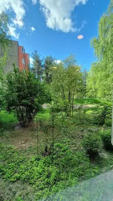 a park with trees and bushes in the grass at Trumpalaikė butų nuoma Kaune prie Klinikų STUDIJA B SELF CHECK IN in Kaunas