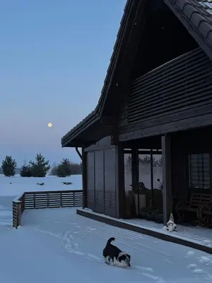 a black cat sitting in the snow next to a house at Pakarklių sodyba in Šeiminiškiai