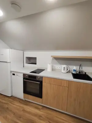 a kitchen with a stove and a sink and a refrigerator at Cozy City Attic in Šiauliai