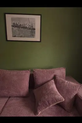 a bedroom with green walls and a bed with pink pillows at Wolfinn Comfort Apartment Siauliai Center in Šiauliai