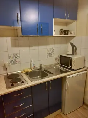 a small kitchen with a sink and a microwave at Litinterp Host in Vilnius