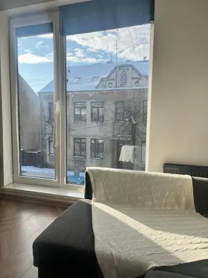 a living room with a couch and a large window at Cozy and quiet apartment near the city in Kaunas