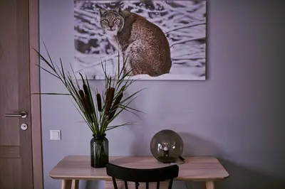 a cat sitting on top of a table with a vase at Barono Vila in Butėnai