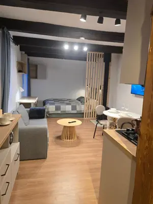 a kitchen and living room with a couch and a table at TRoBA in Vilnius