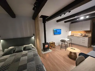 a bedroom with a bed and a fireplace and a kitchen at TRoBA in Vilnius