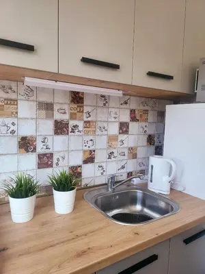 a kitchen counter with a sink and two potted plants at Mocha House 2-Bedroom Apartment Netflix Speedy Wifi in Kaunas