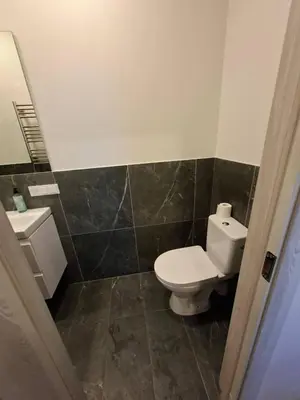 a bathroom with a toilet and a sink at Uzupio justo namai in Kaunas