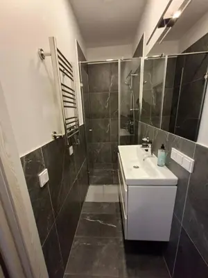 a bathroom with a sink and a shower at Uzupio justo namai in Kaunas