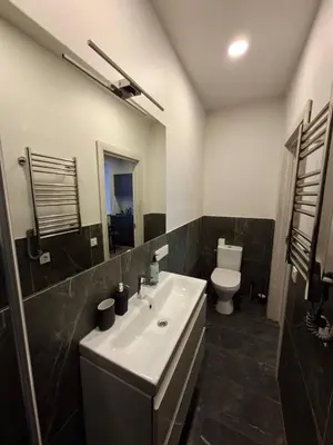 a bathroom with a sink and a toilet at Uzupio justo namai in Kaunas