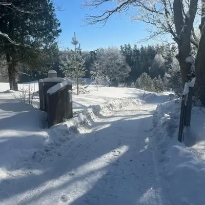 Miško sodyba