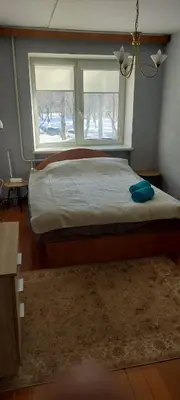 a bedroom with a bed with a window and a rug at Flat 2 rooms in Panevėžys