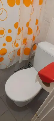 a white toilet in a bathroom with a curtain at Flat 2 rooms in Panevėžys