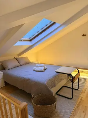 a bedroom with a bed with a skylight at Cosy quiet apartment in the city center in Vilnius